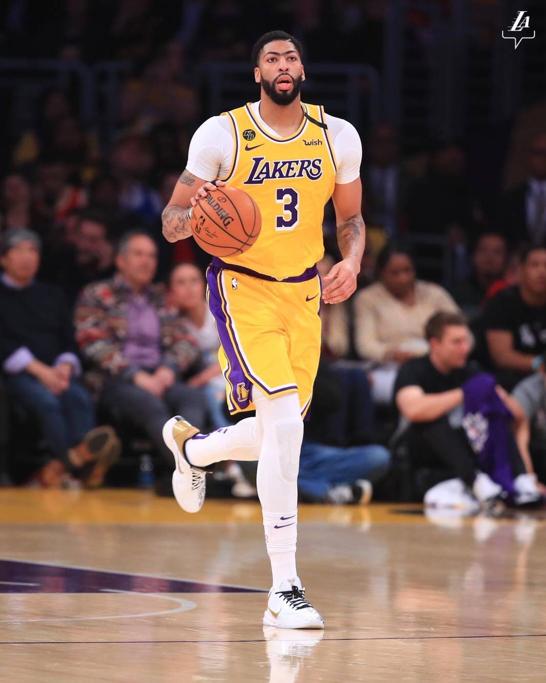 强大韧劲 强大韧劲